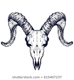 260x280 Huge Collection Of 'goat Skull Drawing' Download More Than