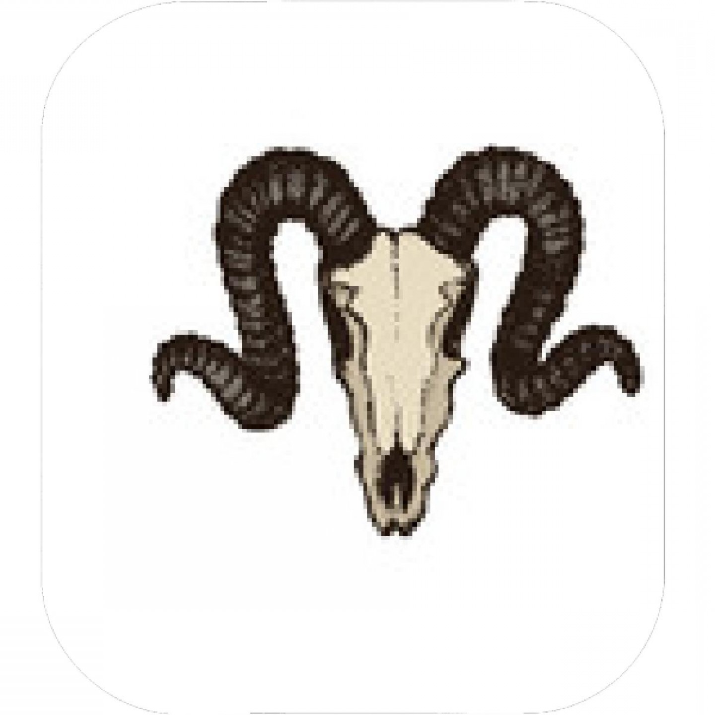 1440x1440 Long Horn Sheep Skull Vector Sarahgardan