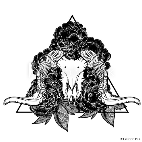 Ram Skull Vector Illustration Occult Symbol Goat Devilish 500x500 Ram Skull Vector Illustration Occult Symbol Goat Devilish