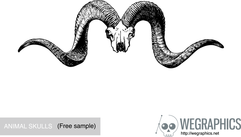 800x455 Download Vector