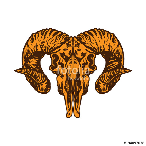 500x500 Goat Head Skull Vector Stock Image And Royalty Free Vector