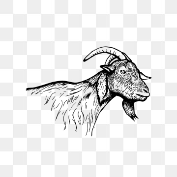 360x360 Goat Png Images Vector And Free Download