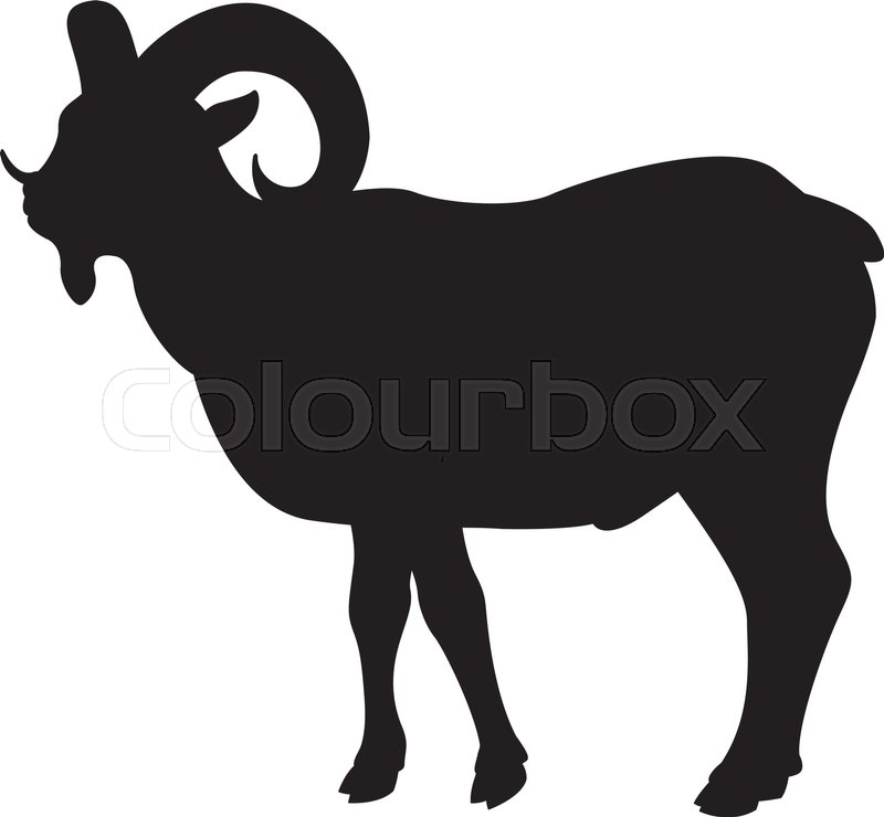 800x740 Goat Vector Illustration Black Stock Vector Colourbox