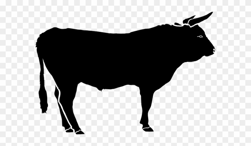 880x511 Graphic Transparent Our Animals Liberty Provisions