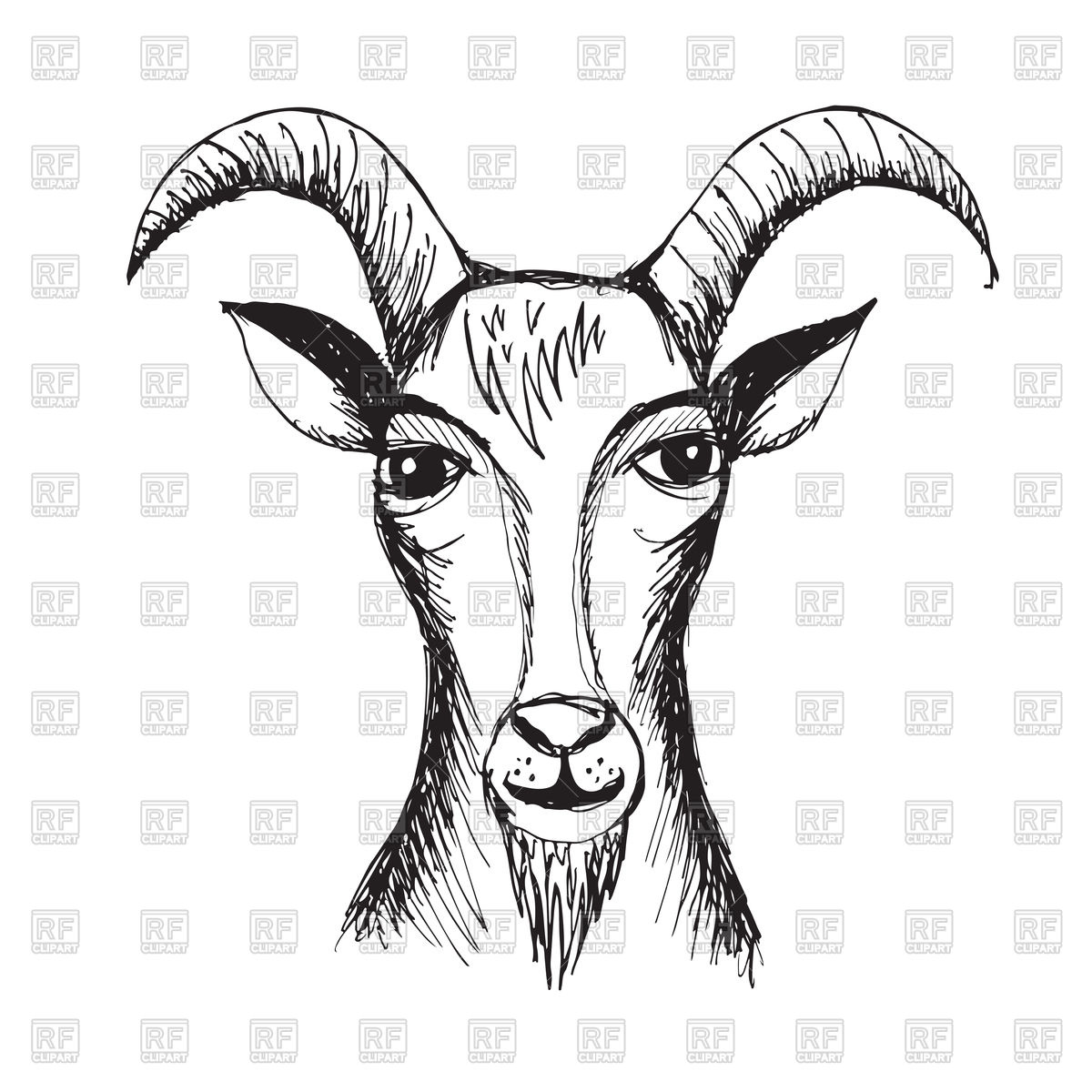1200x1200 Hand Drawn Illustration Of Goat Vector Image Of Plants And Animals