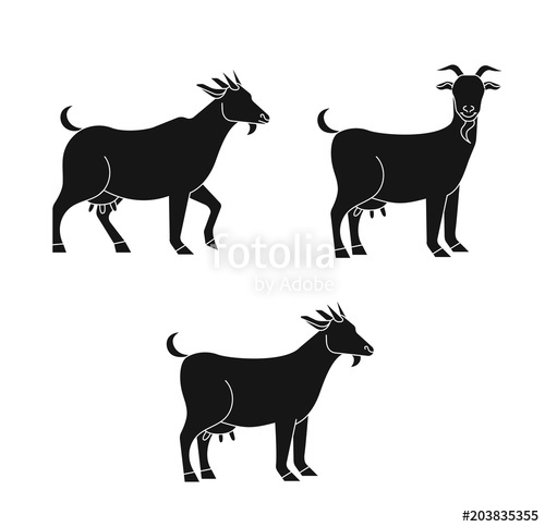 500x484 Set Of Cute Goat Vector Flat Illustration Isolated On White