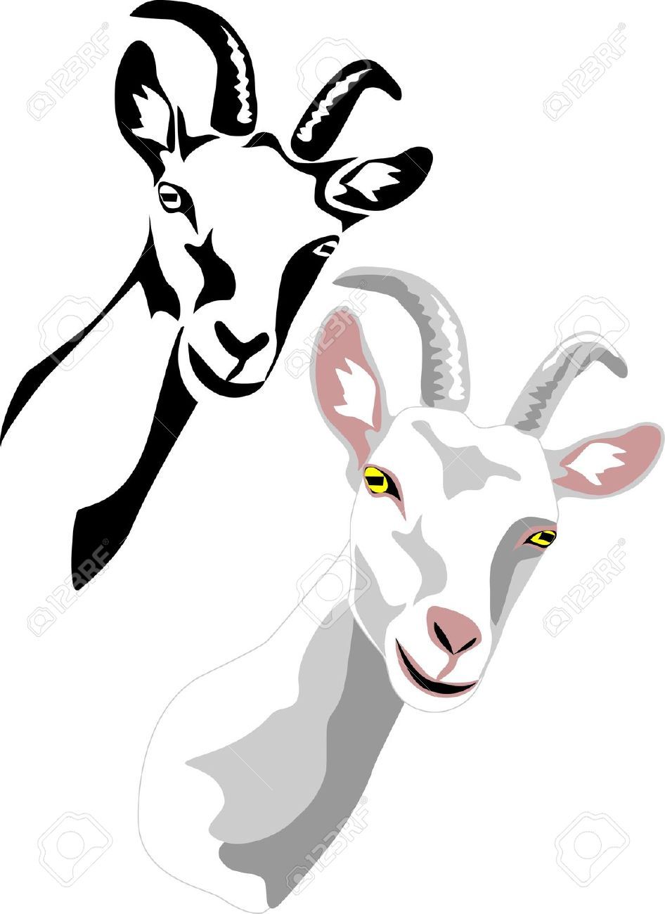 946x1300 Stock Vector Illustration Goat Art, Goats, Animal Posters
