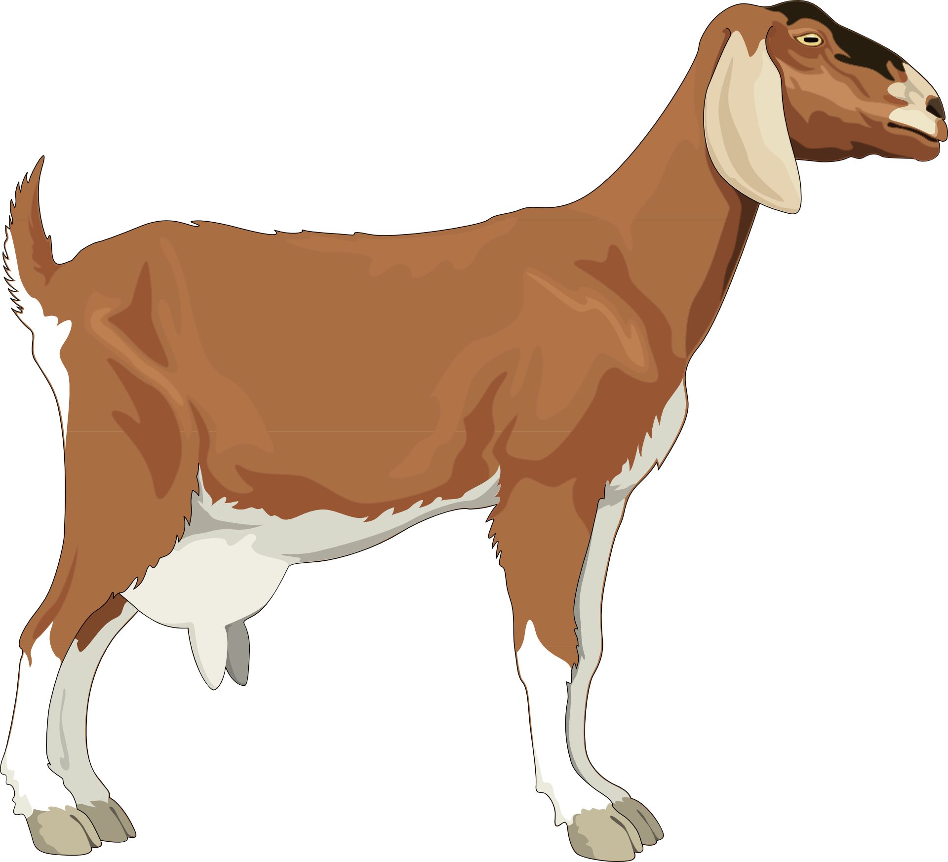 1920x1746 Cartoon Animal,brown Goat Vector Free Vector,icons Goat