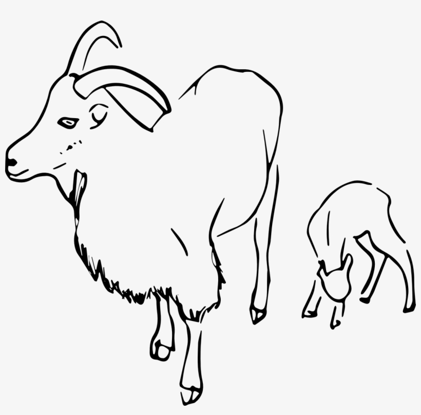820x808 Goat,vector,image,free Vector Graphics