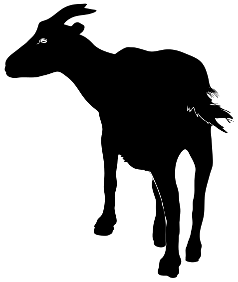 477x565 Download Goat Vector Goat Graphics Image Free Download Clipart Png