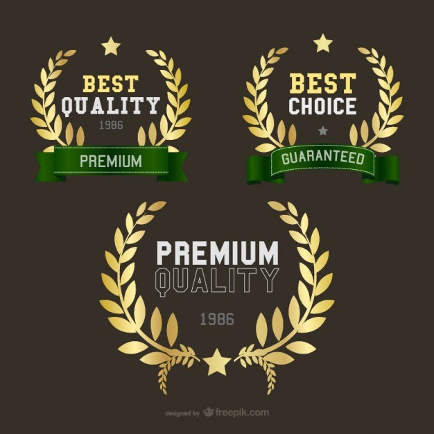 Gold Crown Logo Vector