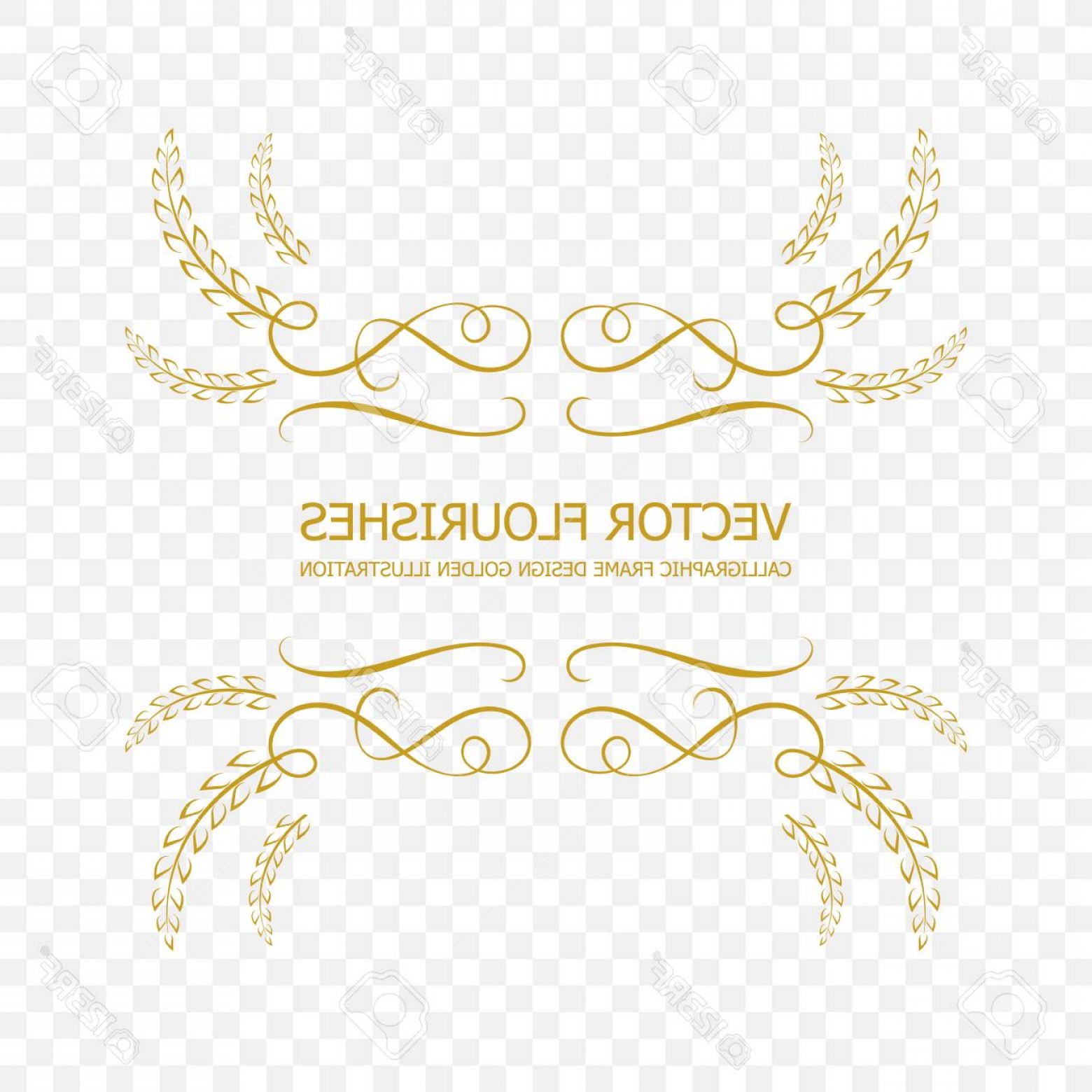 1560x1560 Photostock Vector Vector Golden Calligraphic Frame Flourish Design