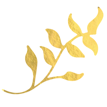 360x360 Gold Leaf Png Free Gold Leaf Transparent Images
