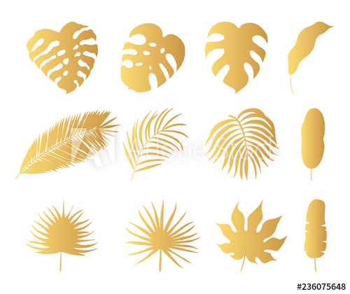 500x420 Hand Drawn Tropical Rainforest Golden Leaves Aralia, Monstera