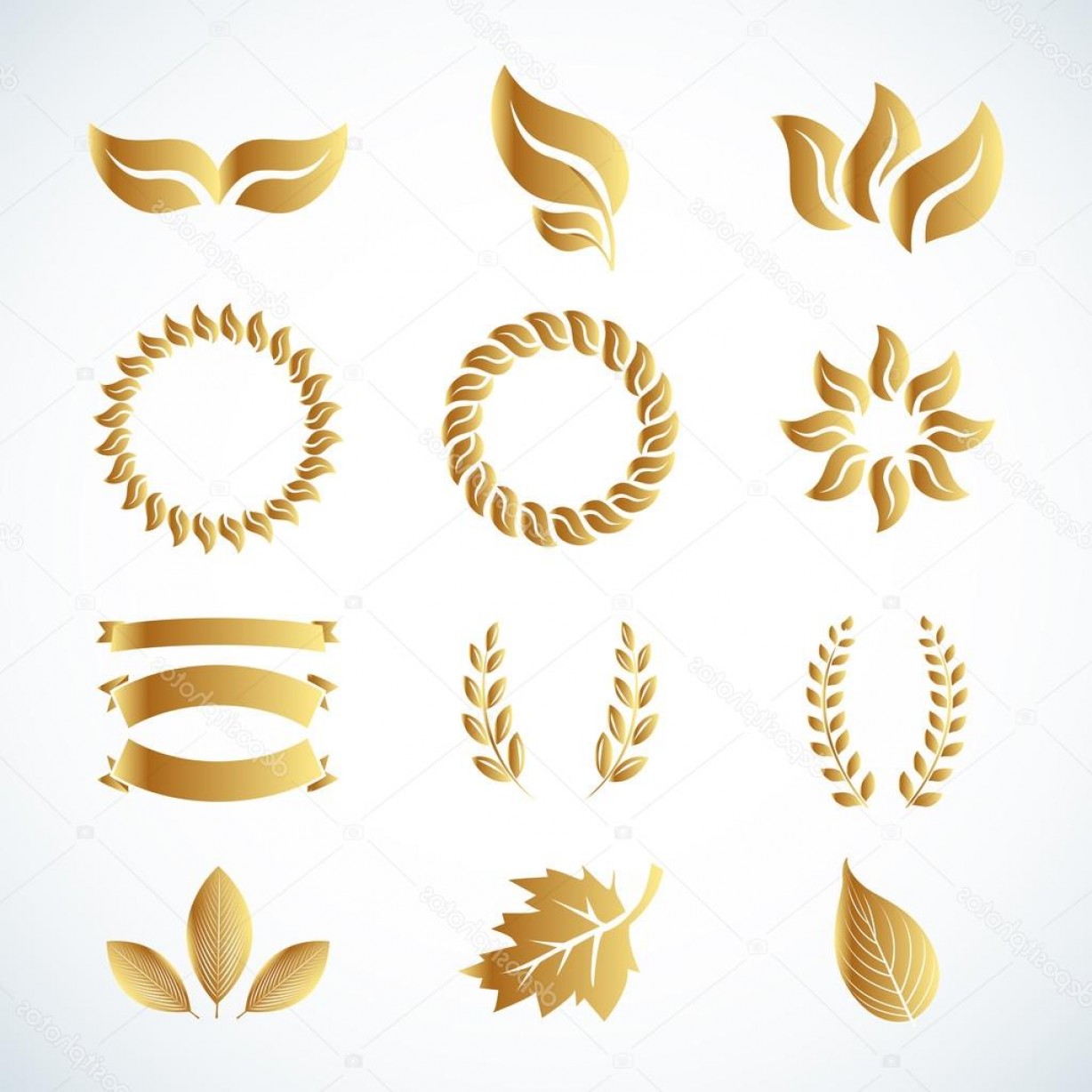 1228x1228 Stock Illustration Golden Laurel Leaves Set Soidergi