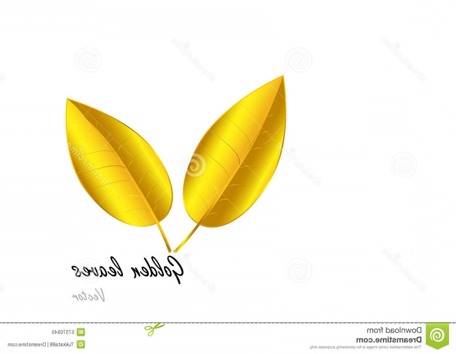 1560x1210 Stock Illustration Golden Leaves White Background Vector