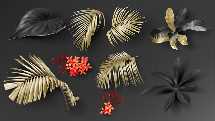 871x490 Tropical Black And Gold Leaves On Dark Background