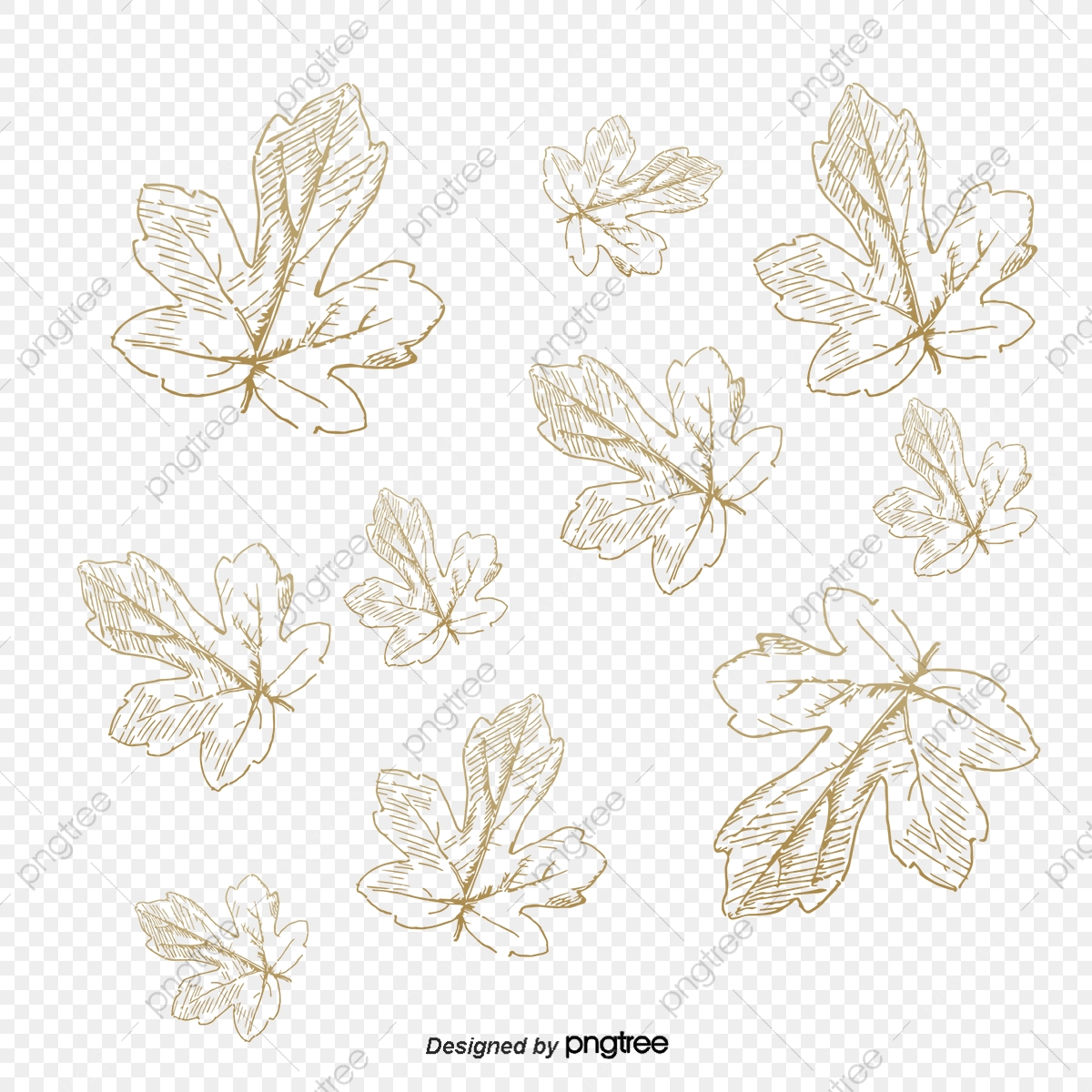 1200x1200 Gold Leaf, Gold Vector, Leaf Vector, Golden Png And Vector