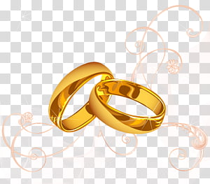 300x263 Ring Vector Transparent Background Png Cliparts Free Download