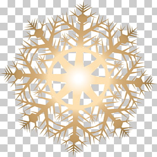 Gold Snowflake Vector