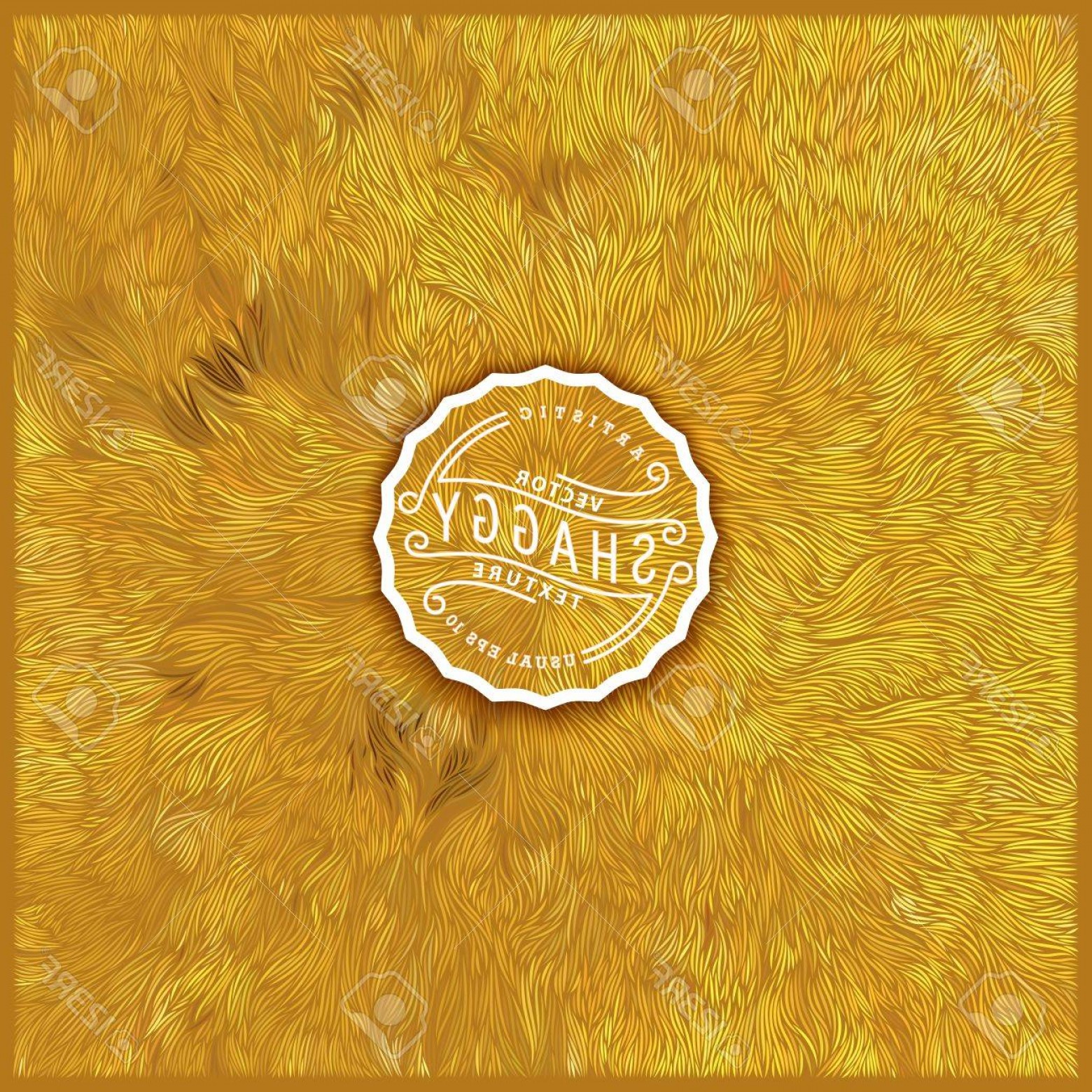 1560x1560 Vector Gold Color Catchsplace