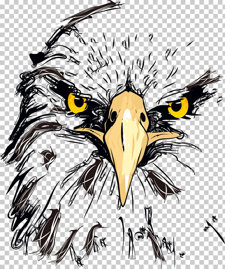 728x869 Eagle Vector Png Cliparts For Free Download Uihere