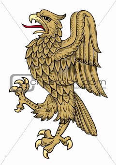 Golden Eagle Vector At Vectorified.com 