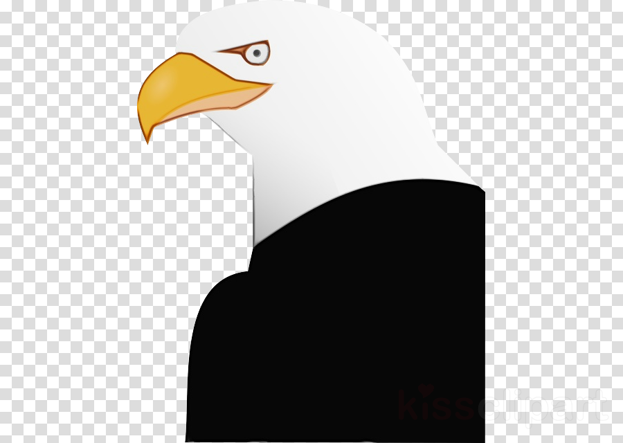 900x640 Bald Eagle, Eagle, Golden Eagle, Transparent Png Image Clipart