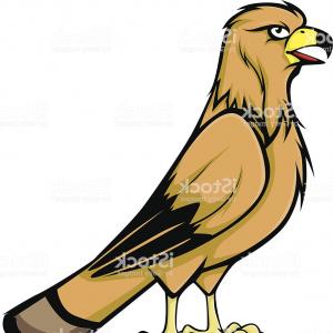 300x300 Chirping Golden Eagle Vector Illustration Gm Catchsplace