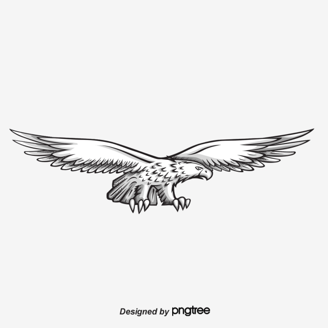 640x640 Eagle Png Images Vector And Free Download
