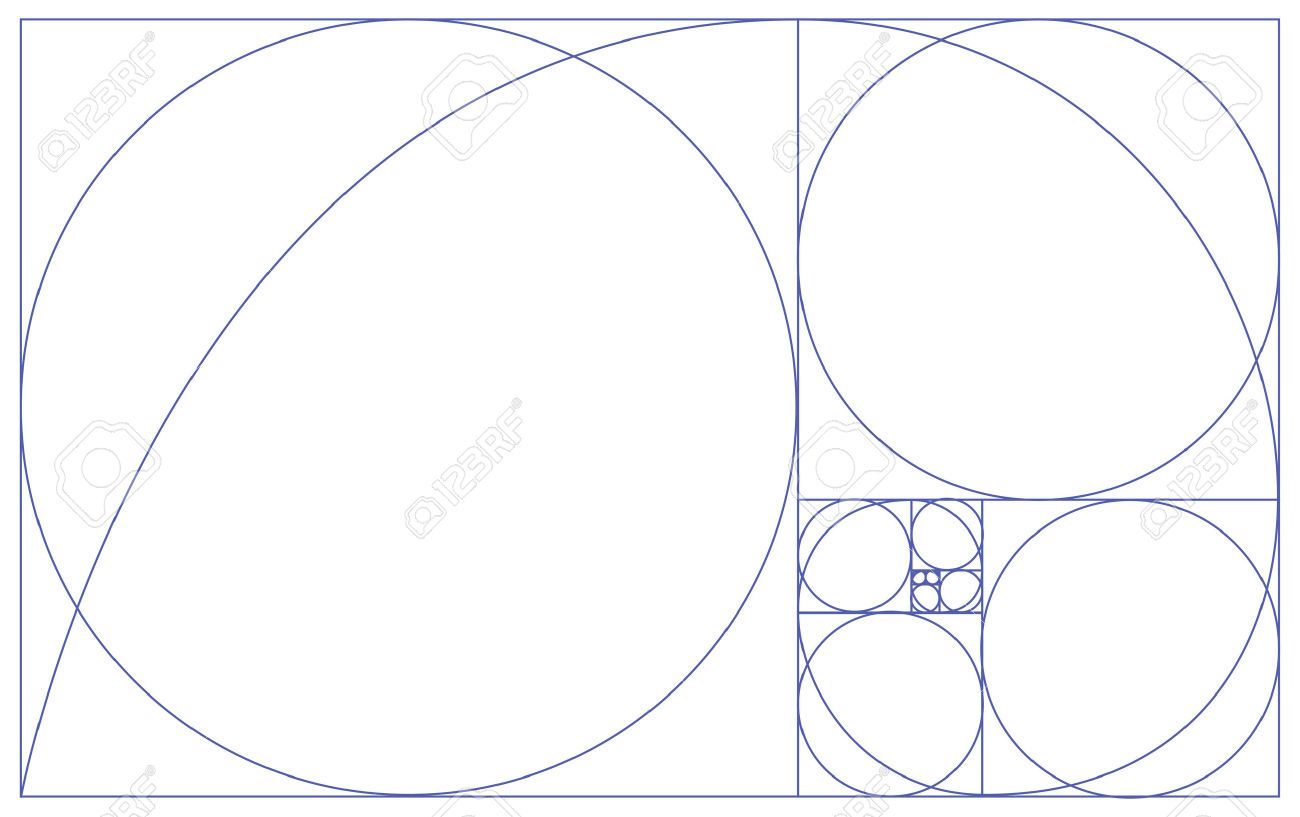 Image Result For Golden Ratio Circles Vector Undervisning 1300x817 Image Result For Golden Ratio Circles Vector Undervisning