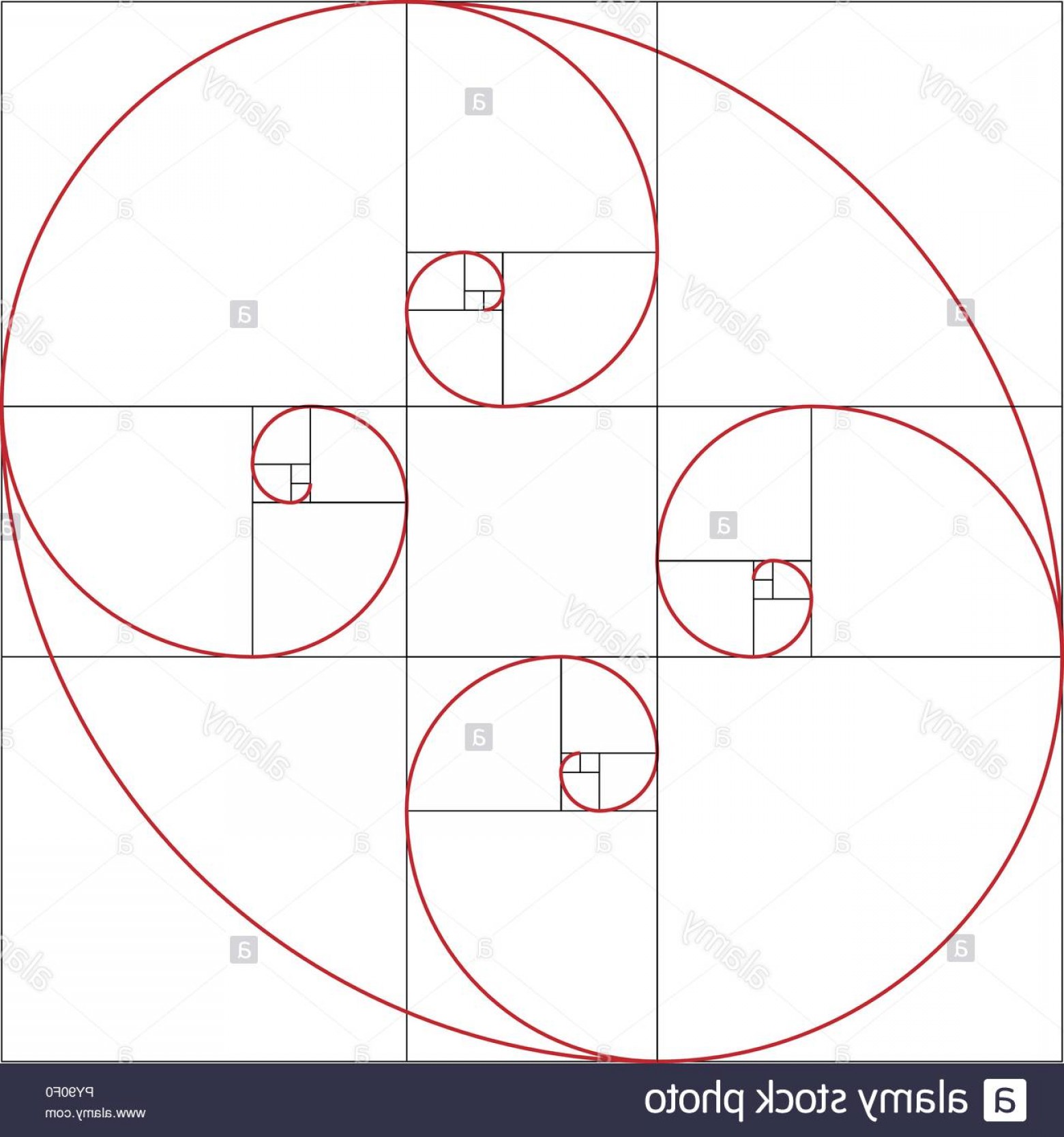 1560x1668 Colorful Vector Illustration Of Fibonacci Spiral Golden Ratio