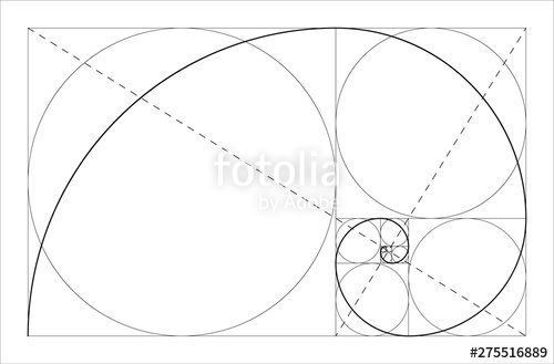 500x329 Golden Ratio Geometric Concept Fibonacci Spiral Vector