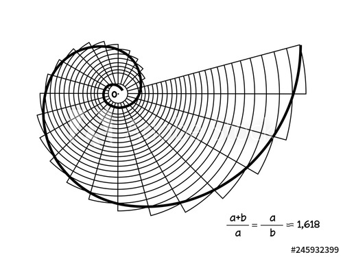 500x375 Golden Ratio Vector Illustration