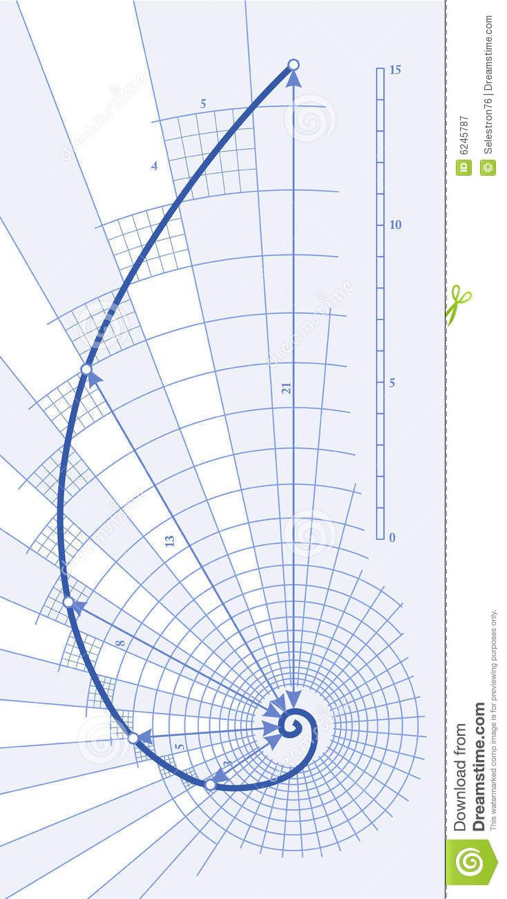 734x1300 Golden Ratio