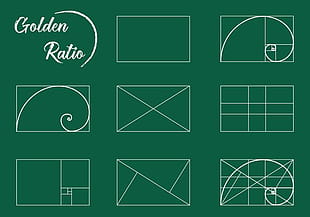 Free Proportion Vector Graphics Download Uihere 310x217 Free Proportion Vector Graphics Download Uihere