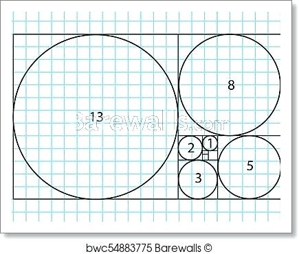 Fibonacci Template 435x370 Fibonacci Template