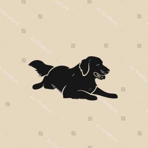 300x300 Golden Retriever Dog Isolated Vector Illustration Hoodamathrun