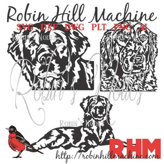 570x570 Golden Retriever Dog Set Detailed Vector For Etsy