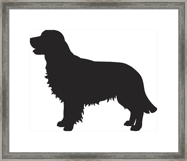 600x516 Golden Retriever Dog Vector Silhouette Framed Print