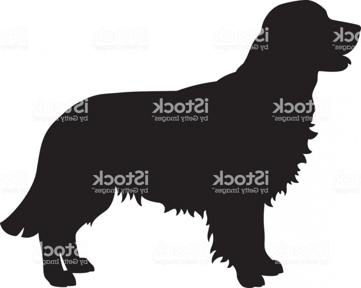 1228x979 Golden Retriever Dog Vector Silhouette Gm Soidergi