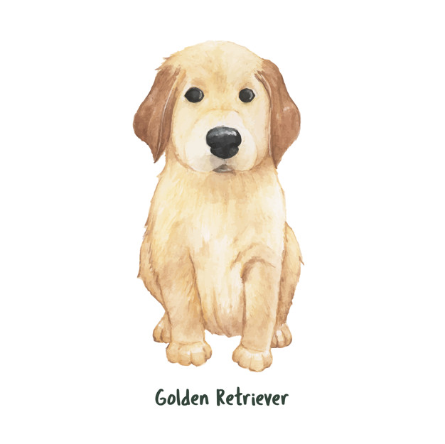 626x625 Hand Drawn Golden Retriever Dog Vector Free Download
