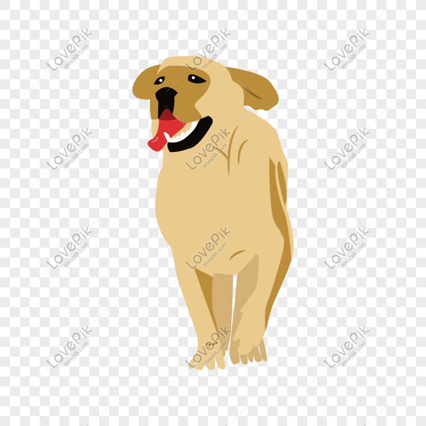 860x860 Hand Drawn Vector Golden Retriever Dog Png Image Picture Free
