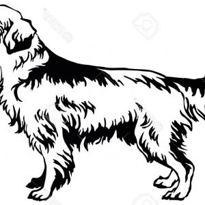 300x300 How To Draw A Cute Vector Dog Character In Illustrator Soidergi