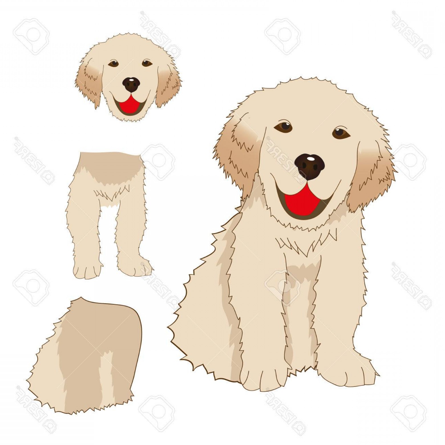 1560x1560 Photostock Vector Puppy Golden Retriever Sitting Baby Dog Labrador
