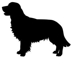 Golden Retriever Dog Silhouette Vector Art Illustration 235x190 Golden Retriever Dog Silhouette Vector Art Illustration