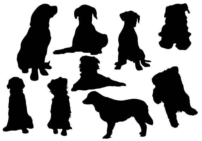 Golden Retriever Free Vector Art 700x490 Golden Retriever Free Vector Art