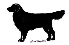 Download Golden Retriever Silhouette Vector at Vectorified.com | Collection of Golden Retriever ...