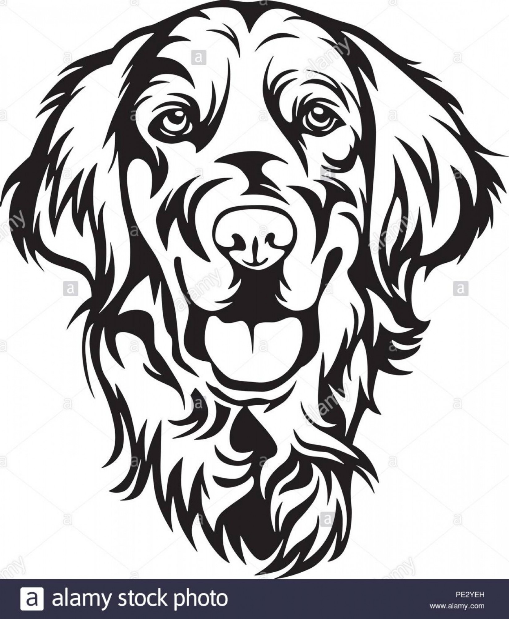 Golden Retriever Vector Tutorial Hoodamathrun 1646x2001 Golden Retriever Vector Tutorial Hoodamathrun