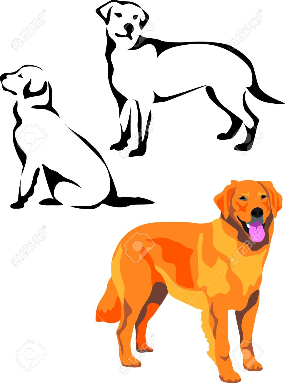 Golden Retriever Clipart Free Download On Ijcnlp Cliparts 969x1300 Golden Retriever Clipart Free Download On Ijcnlp Cliparts